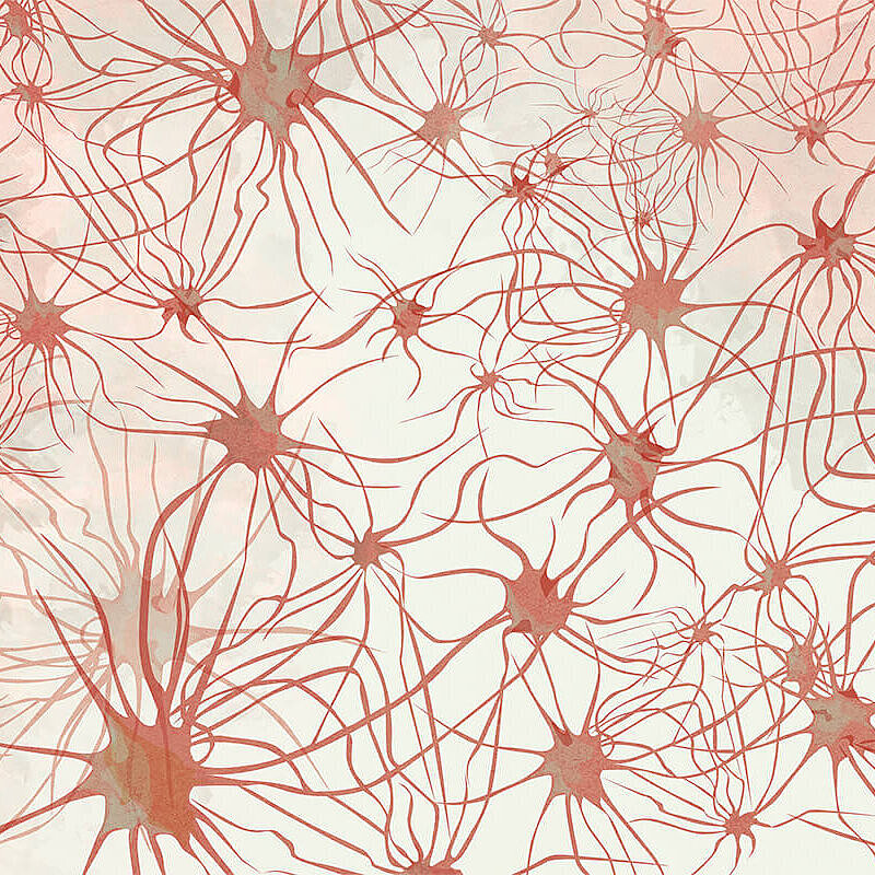 Wir sind das MVZ für Neurologie und Psychiatrie in Ulm